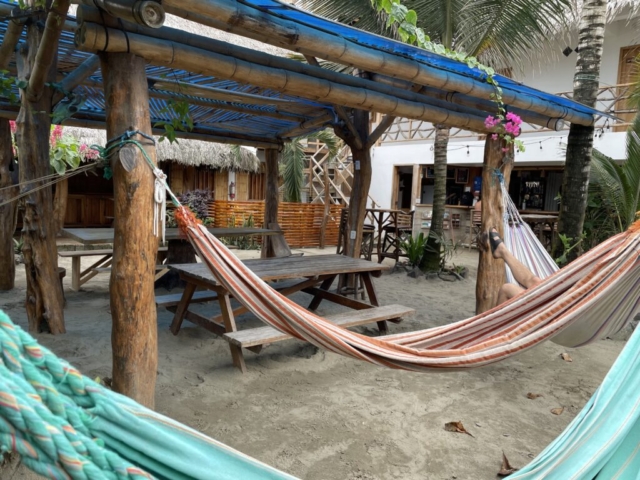Take a siesta in one of our hammocks in the garden