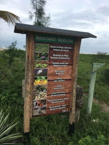 Canoa has many different types of plants and animals