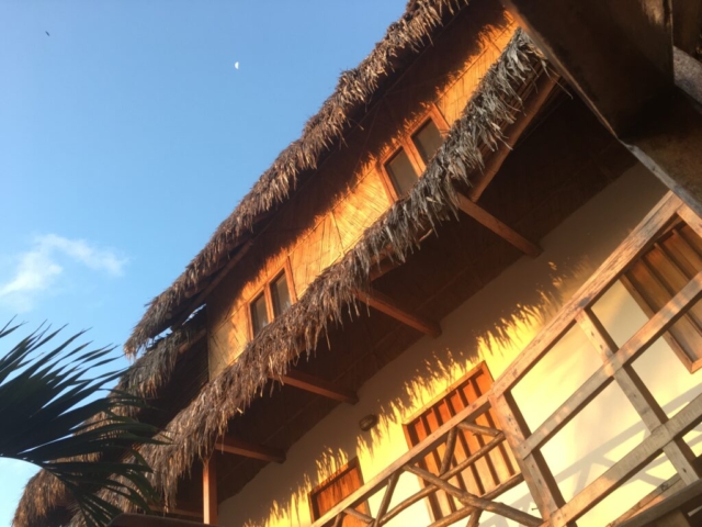thatch roof and ecological construction at the Coco Loco in Canoa