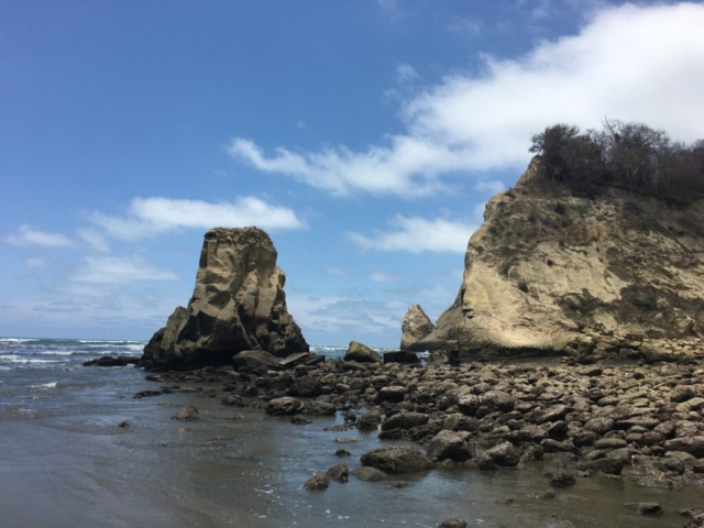 Rock formations and booby nests north of Canoa