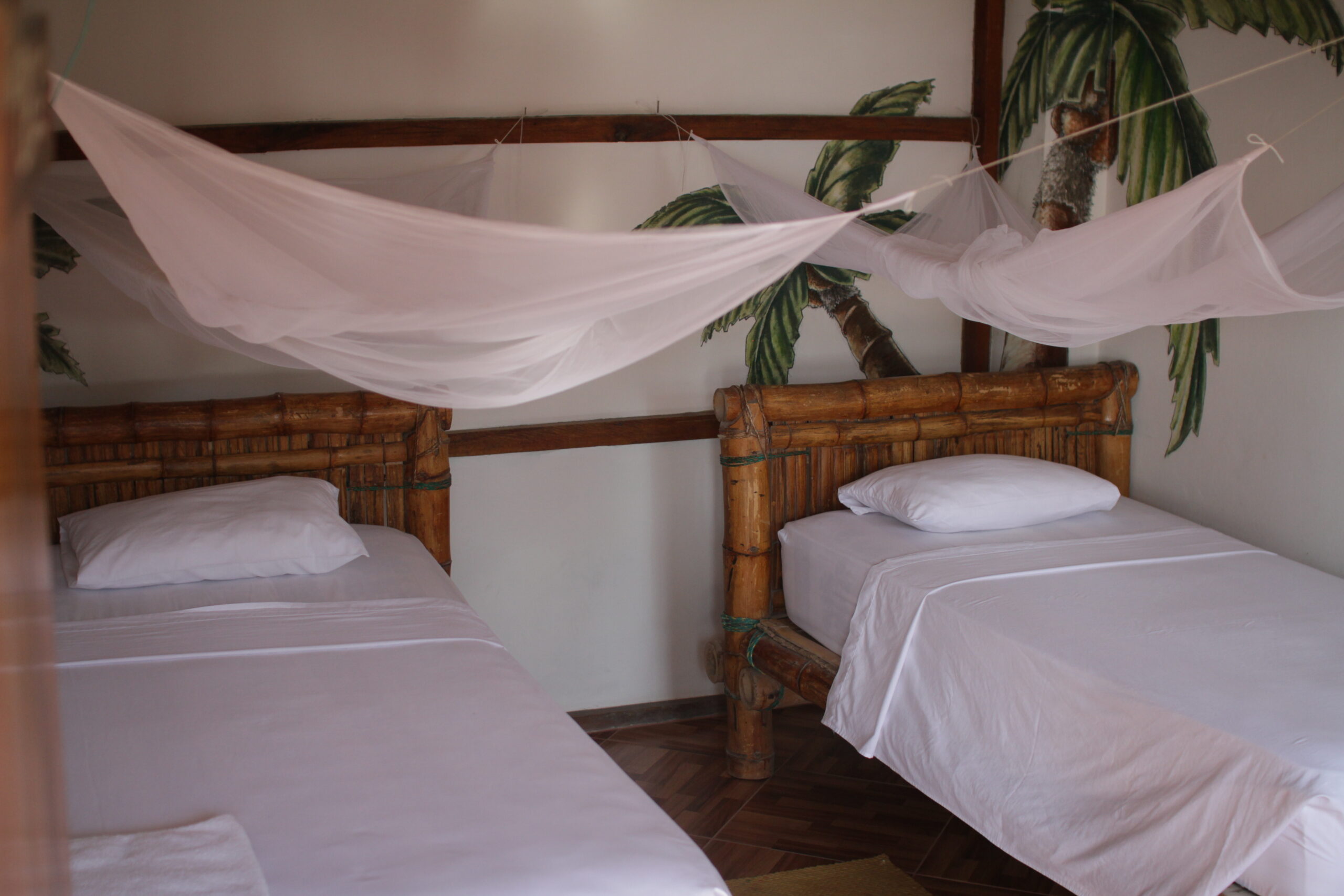 private double room hostel coco loco canoa ecuador
